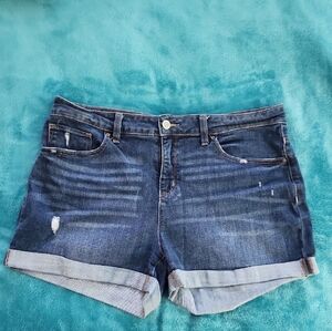 Time and Tru Dark Blue Jean Shorts